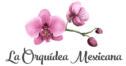 Florería | La Orquídea Mexicana
