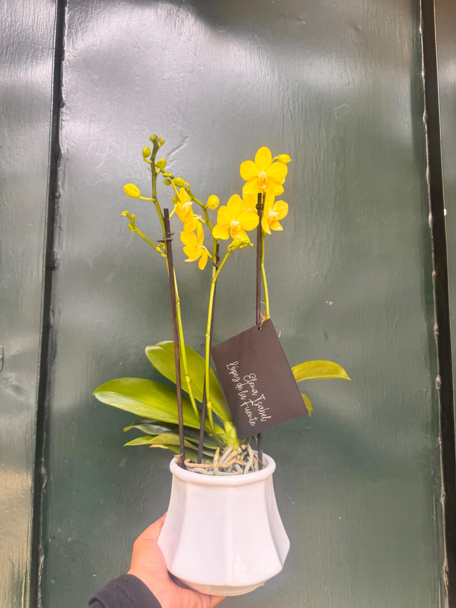Diamante - Imagen 5
