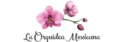 Florería | La Orquídea Mexicana
