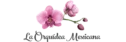 Florería | La Orquídea Mexicana